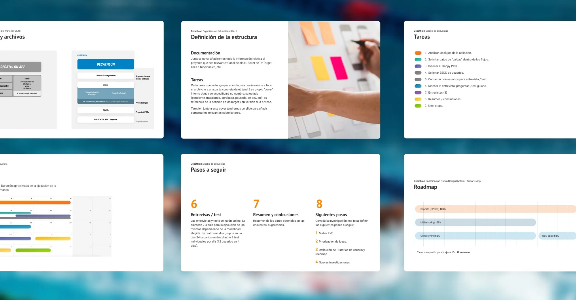 Project slides: file structure, tasks, next steps and roadmap